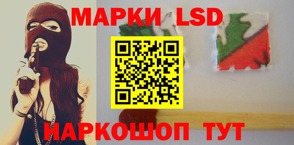 Псилоцибиновые грибы Мытищи