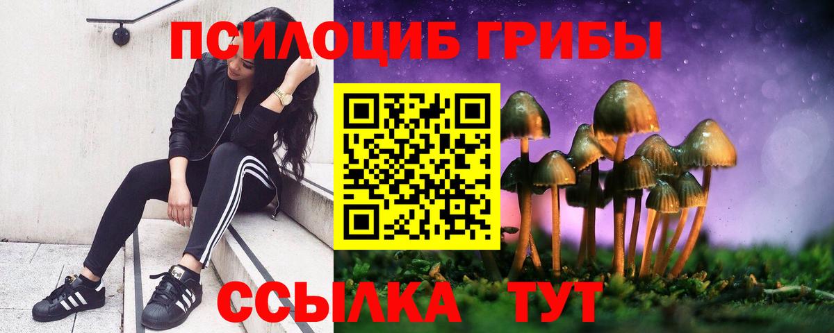 Галлюциногенные грибы MAGIC MUSHROOMS Мытищи
